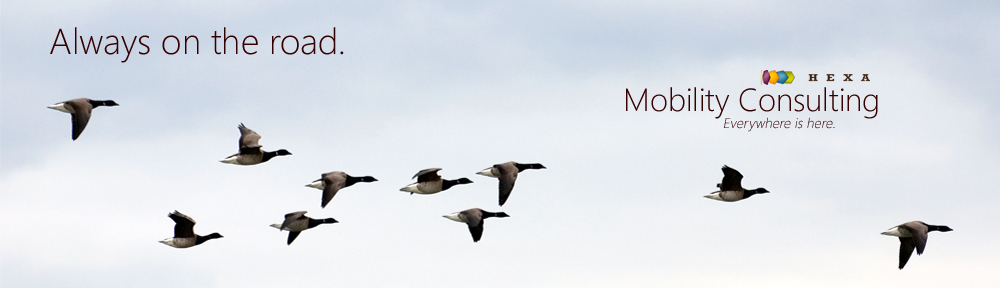 Hexa Mobility Consulting